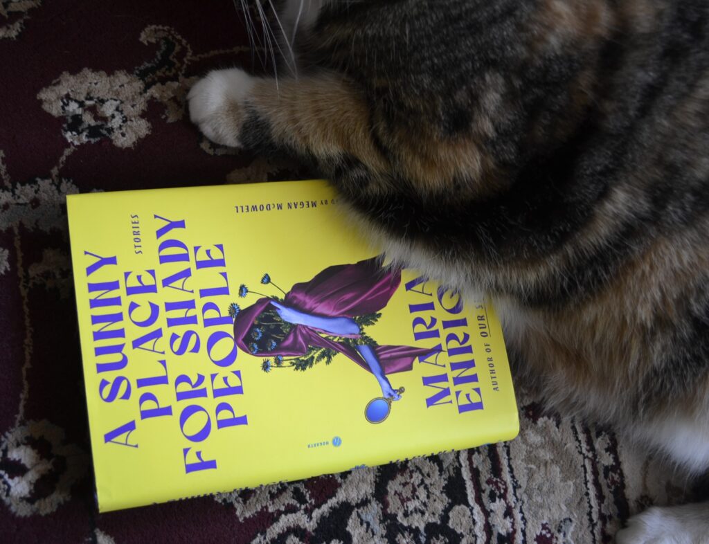 A Sunny Place for Shady People, written by Mariana Enriquz and translated by Megan McDowell, lies beside a calico tabby.