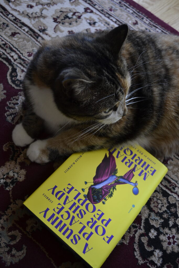 A calico tabby looks over her shoulder towards the light. Wedged beneath her is a yellow hardcover book.