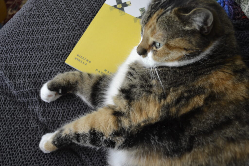 A calico tabby lounges widely on a slim yellow paperback.