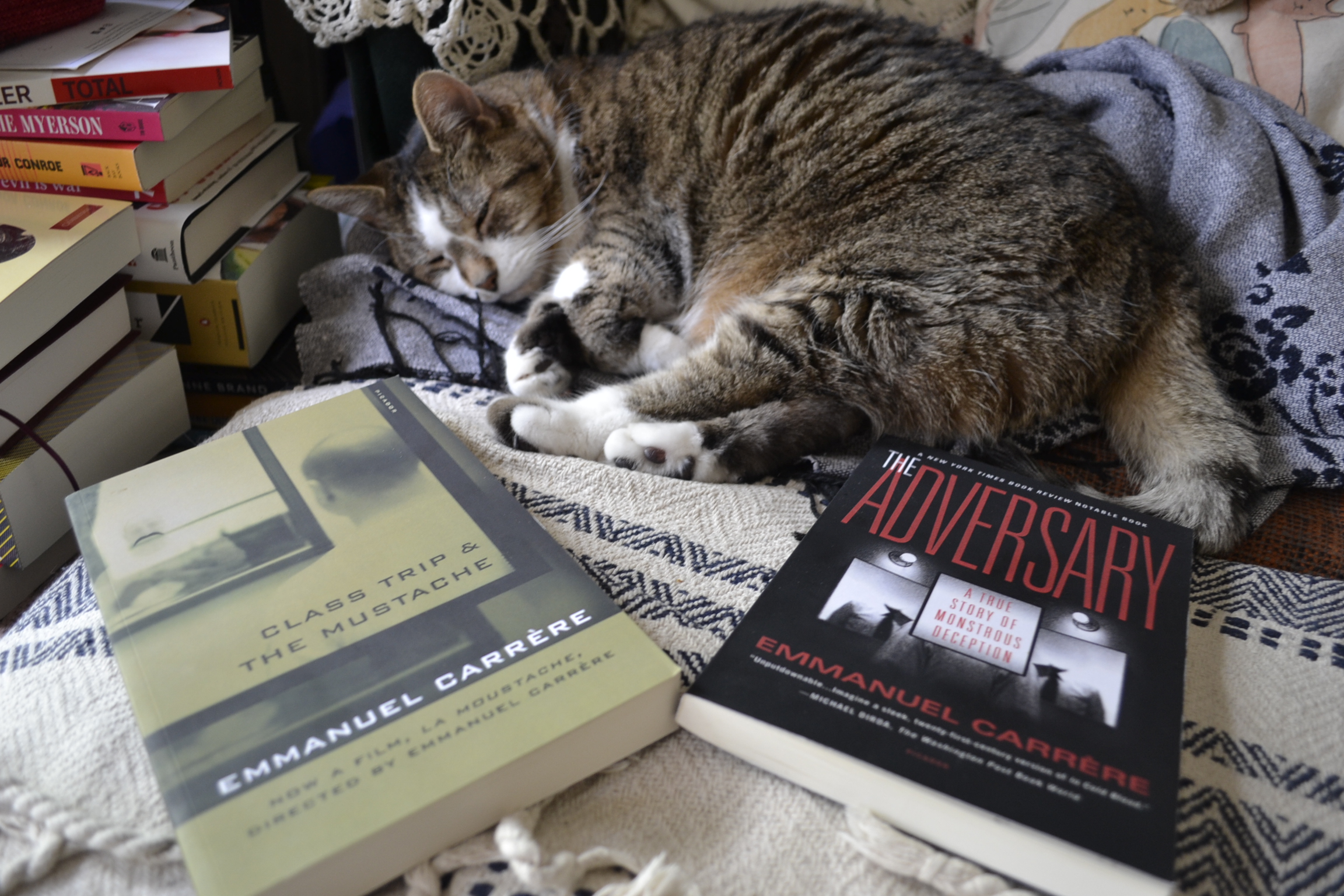 A tabby cat sleeps happily beside two books: Class Trip & The Mustache as well as The Adversary.