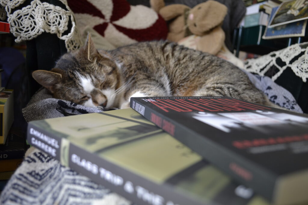 A tabby cat sleeps contentedly on an armchair. Beside her are two books by Carrère.