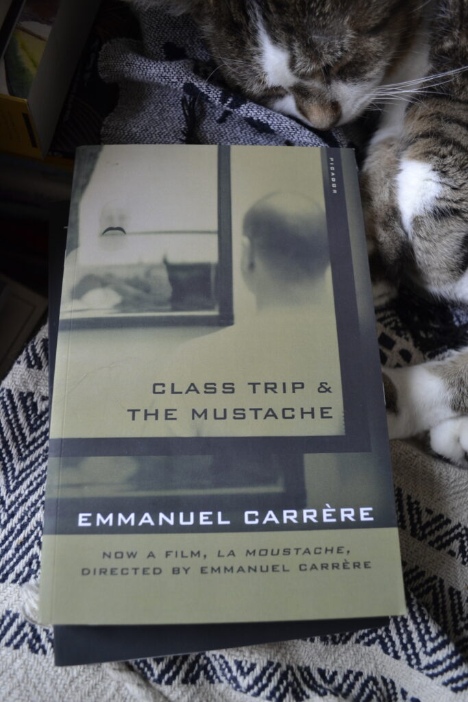 A tabby cat sleeps beside a book. The book shows a sepia-toned photograph of a man looking in a mirror. His reflection wears a drawn-on moustache.