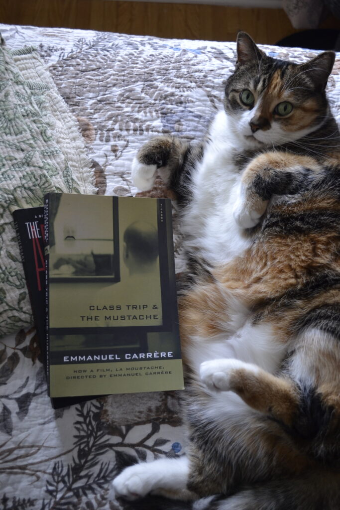 A calico tabby rolls on its back, looking happy. Beside her are two books. The top book is Class Trip & The Mustache.