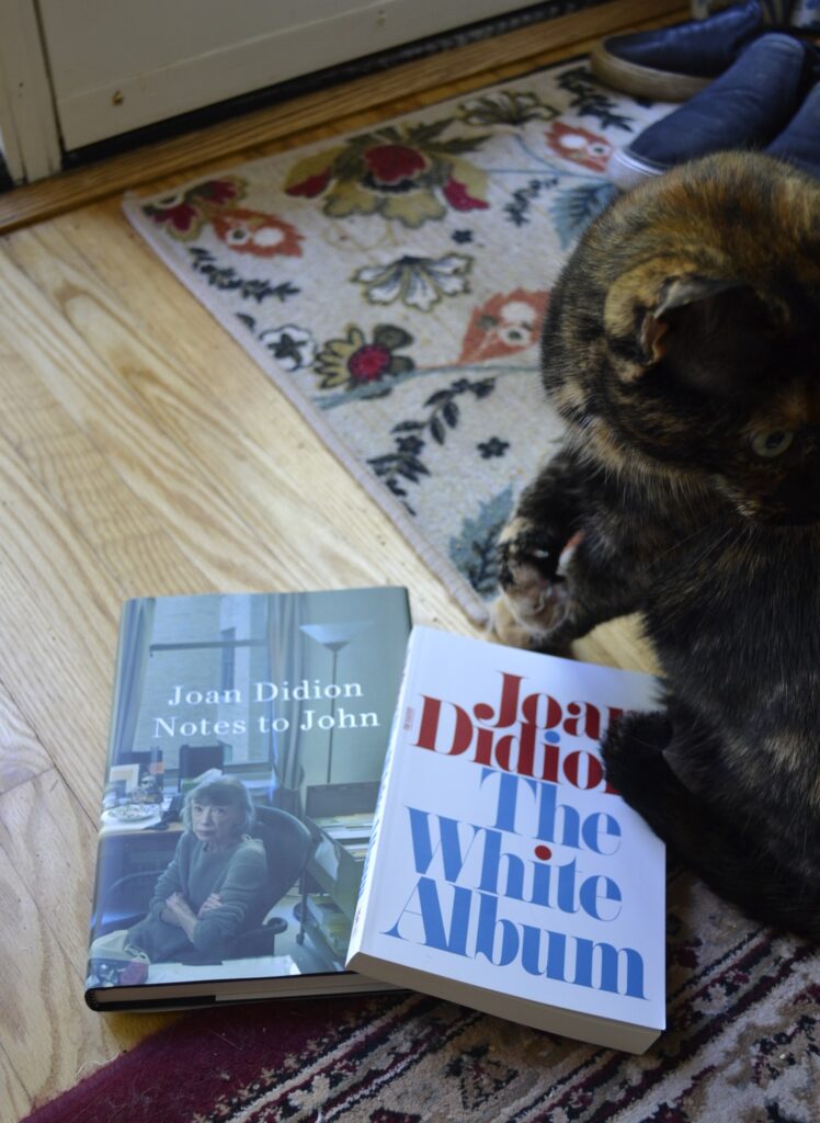 A tortoiseshell cat sits beside two books by Joan Didion.