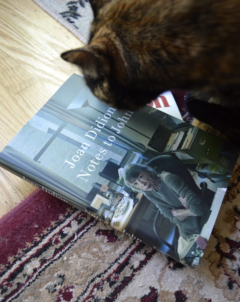 Notes to John is a small hardcover book. Its cover features a picture of Joan Didion — a white, aging woman with shoulder-length grey hair — sitting in a desk chair with her arms crossed.