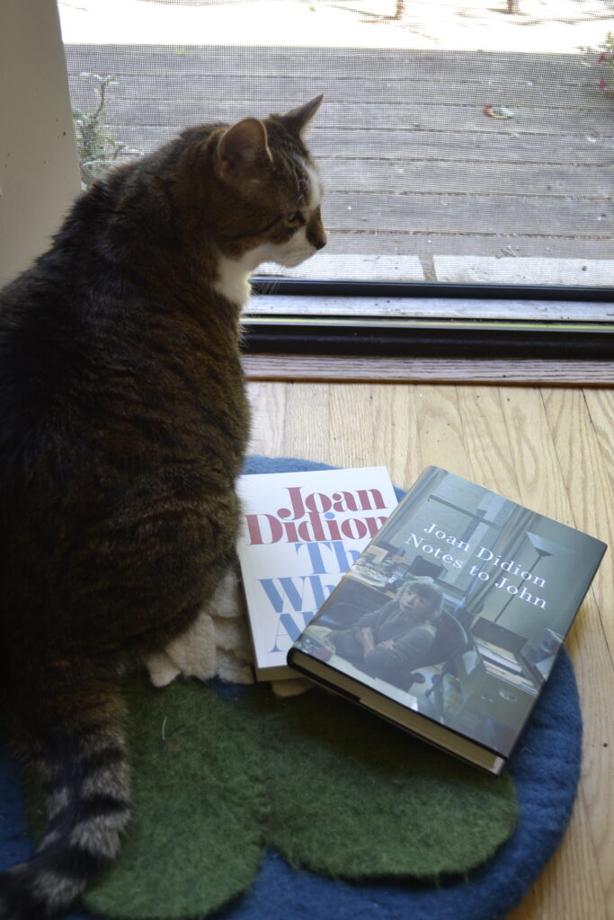 A tabby cat sits by a screen door. Beside her are The White Album and Notes to John, both by Joan Didion.