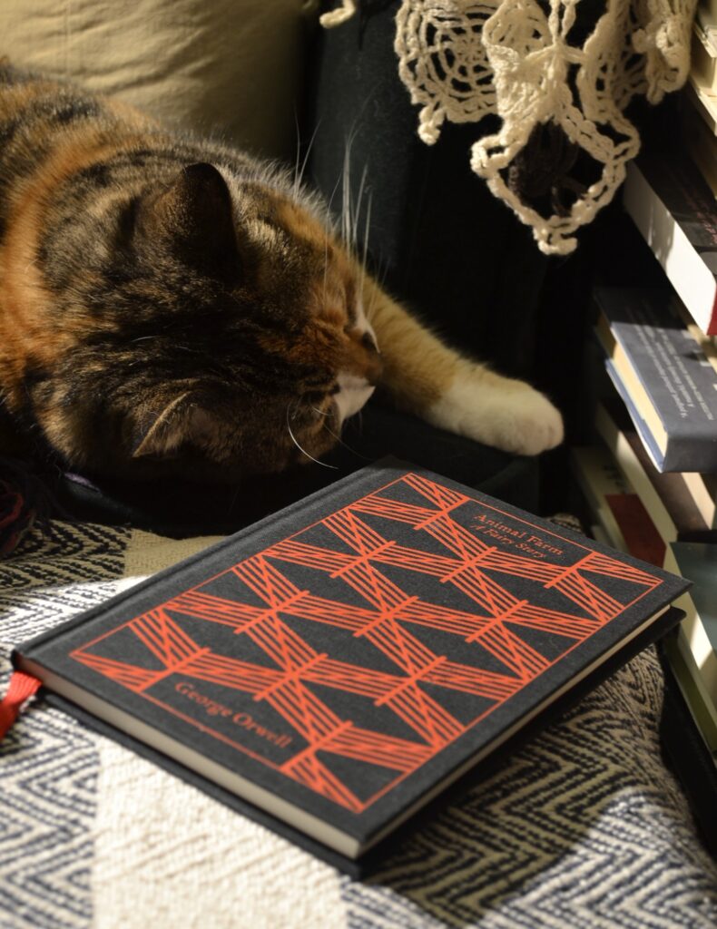 A calico tabby flops on her side beside a black hardcover book, Animal Farm.
