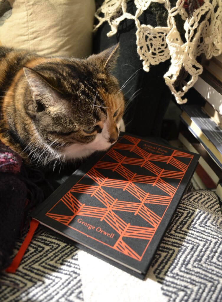 A calico tabby lounges on an armchair with a black hardcover edition of Animal Farm.