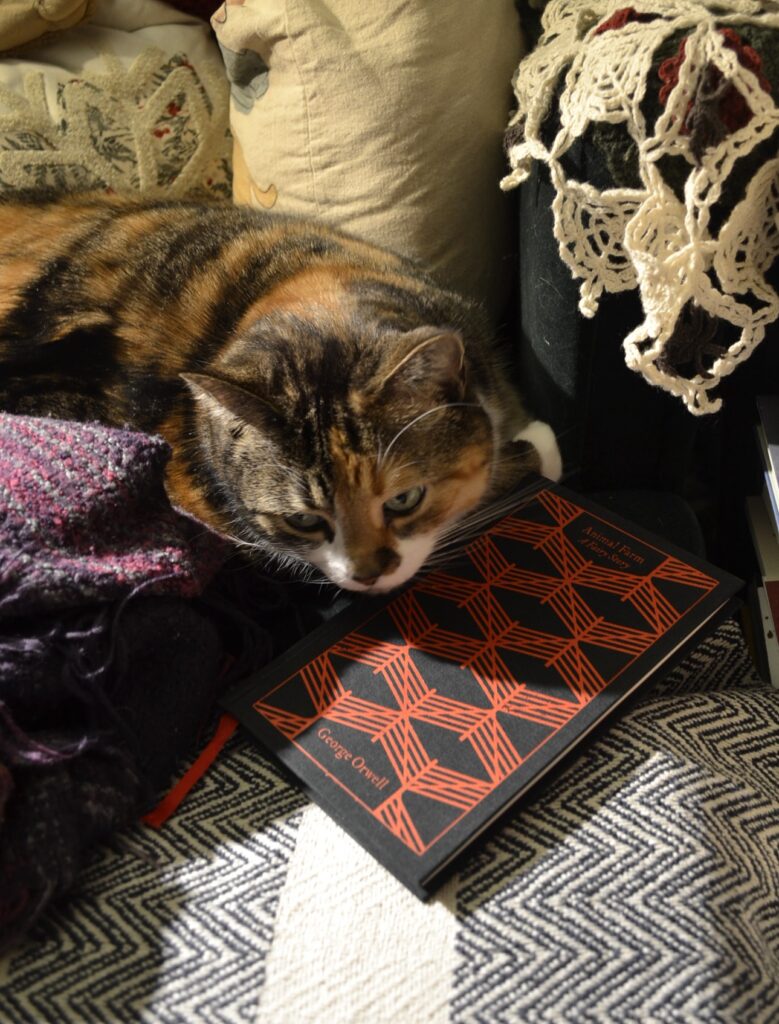 A calico tabby lies with her chin resting on a copy of Animal Farm.