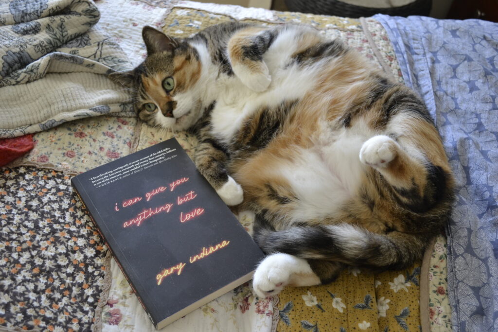 A calico tabby rolls onto her back with her paws curled up beside a copy of Gary Indiana's I Can Give Your Anything But Love.