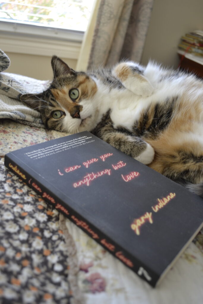 A calico tabby lies on her side and looks up with curiosity. Beside her is a softcover black book — I Can Give You Anything But Love.