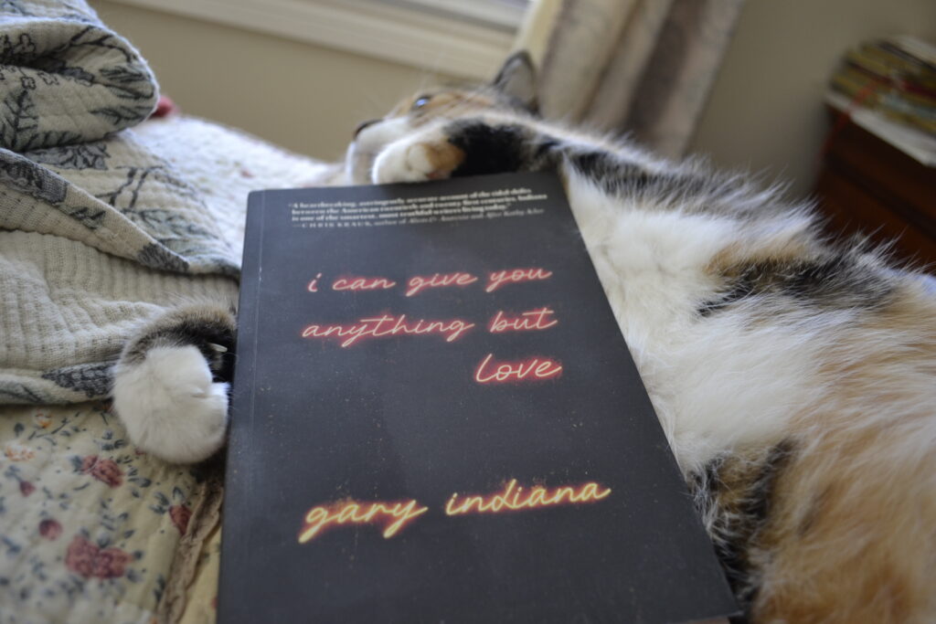 A calico tabby curls her paws around a black softcover book. The book has red and yellow neon-style text that says: i can give you anything but love — gary indiana.
