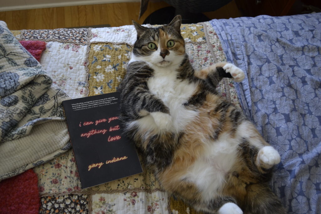 A calico tabby rolls on her back and looks directly at the camera. Beside her is Gary Indiana's I Can Give You Anything But Love.