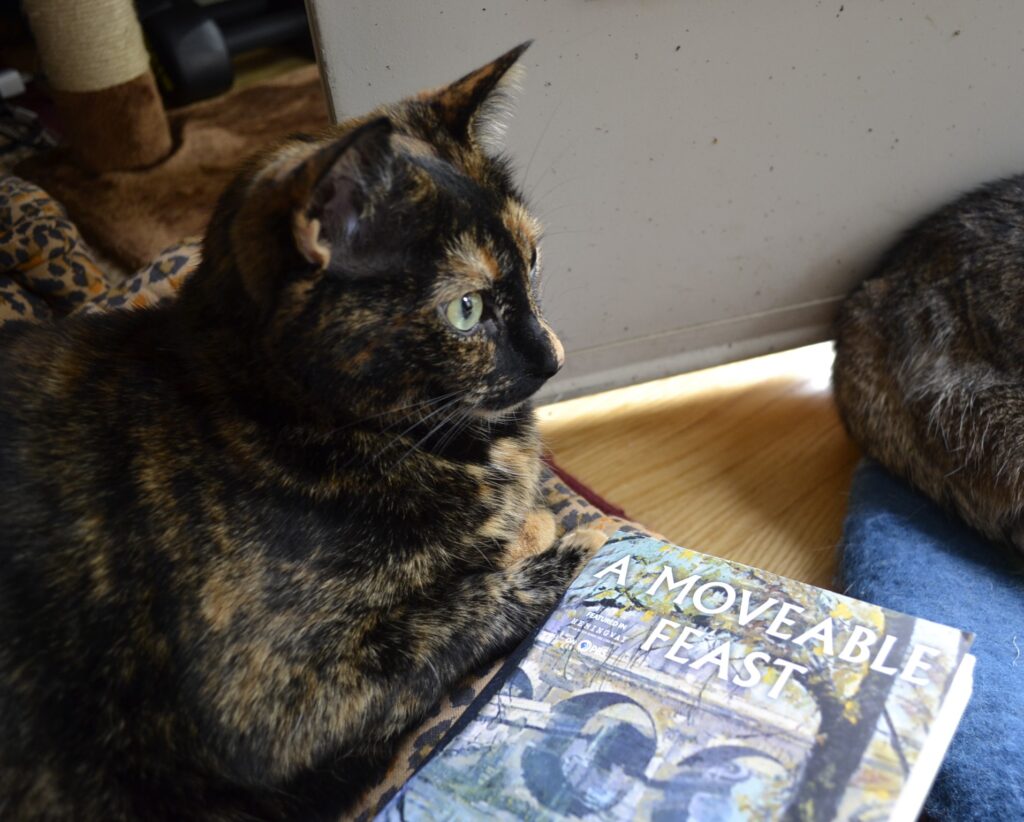 A tortie sits with majestically folded paws beside a copy of A Moveable Feast.