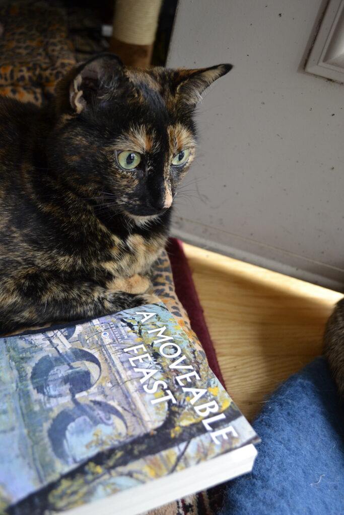 A tortie folds her orange paws beside a softcover book.