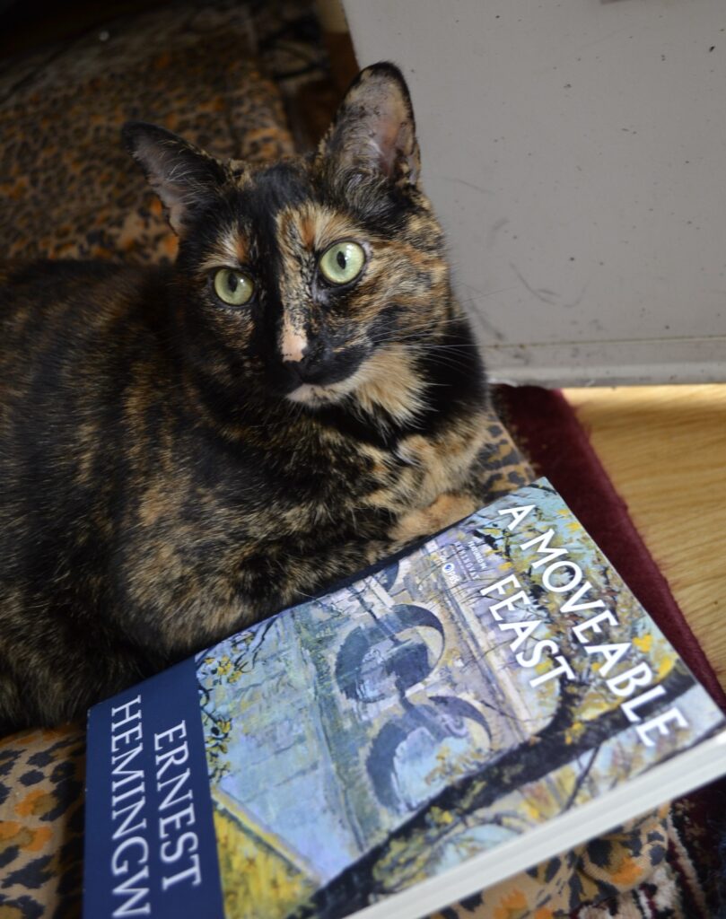 A tortoiseshell cat looks up with a sweet expression. By her paws is a copy of A Moveable Feast.