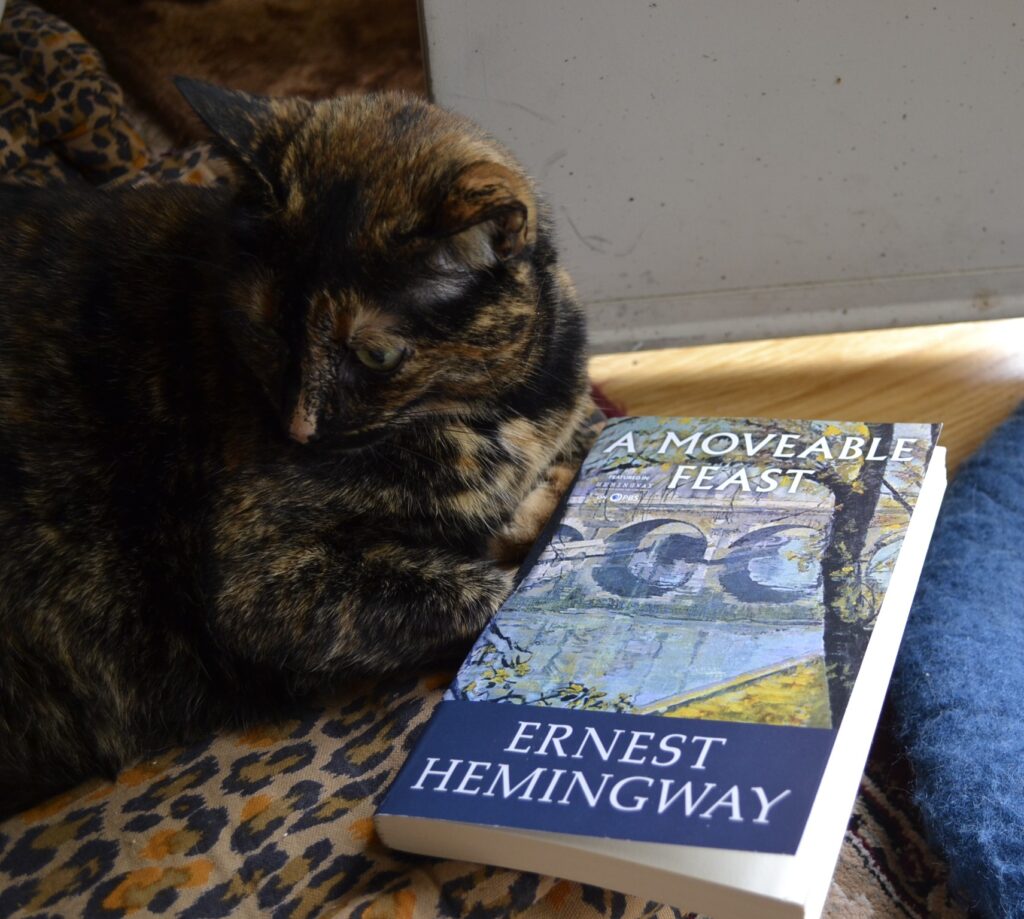 A Moveable Feast by Ernest Hemingway is a paperback book featuring a painterly drawing of a bridge over the Seine.
