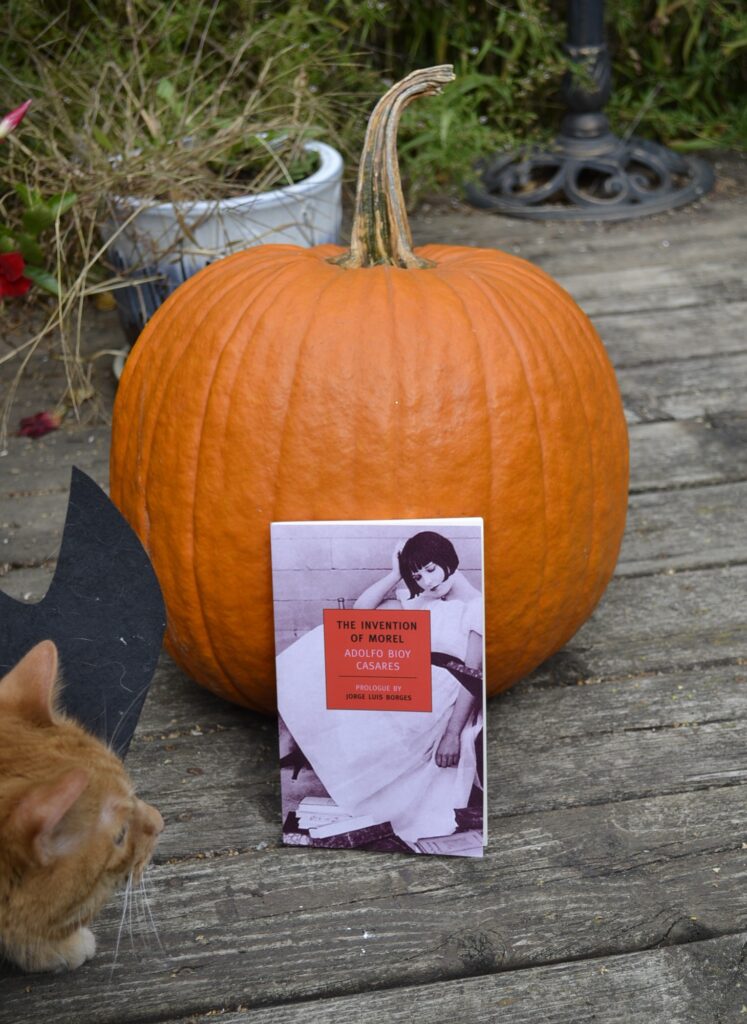 Leaning against a pumpkin is a paperback book, The Invention of Morel. The cover shows a black-and-white photo of a woman in a white dress napping.
