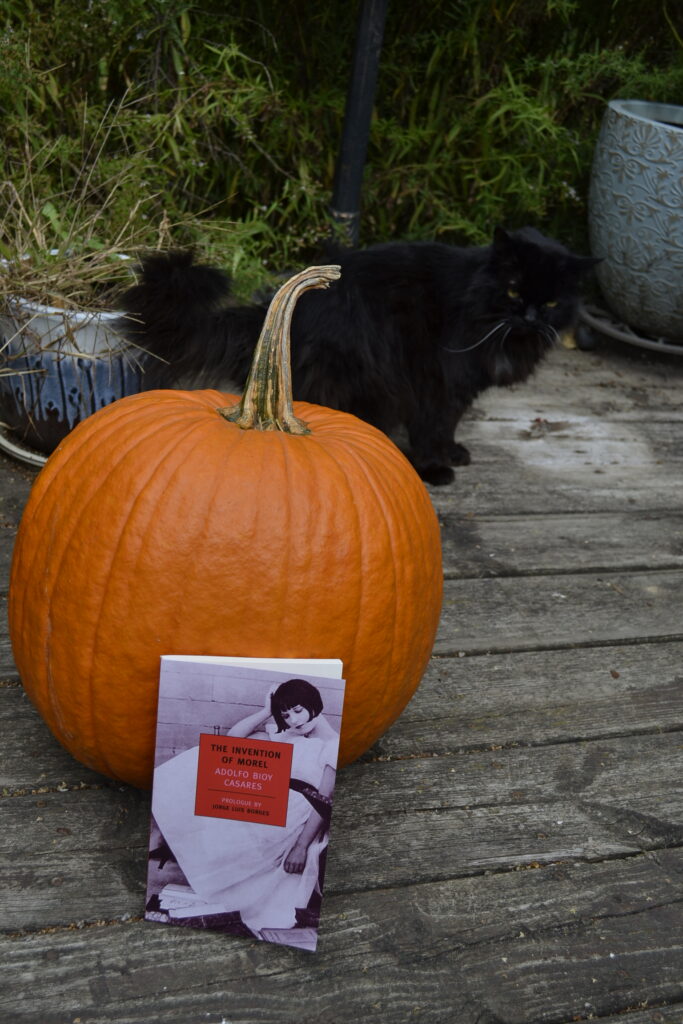 A fluffy black cat stands behind an orange pumpkin. A book leans on the pumpkin, with a black-and-white picture of a napping woman on the cover.