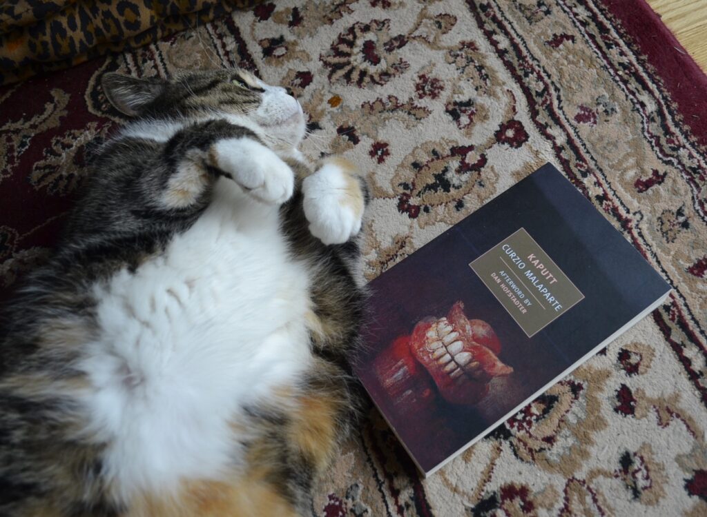 A calico tabby curls her paws up by her chin, rolling on her back. A black book with painted dentures on the cover lies beside her, Kaputt by Malaparte.