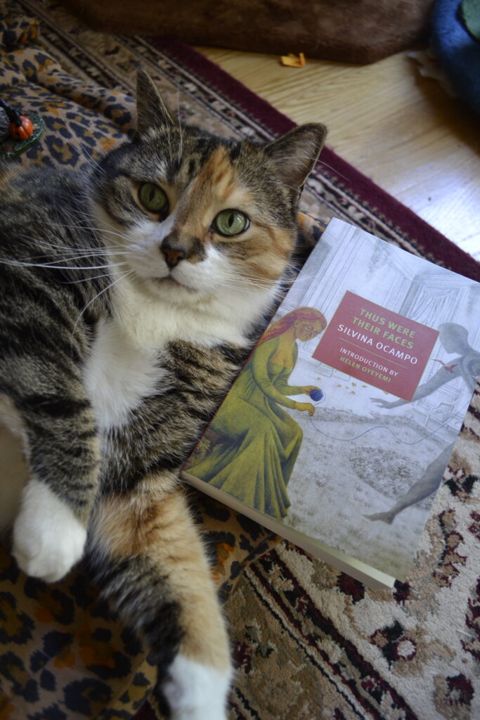A calico tabby with bright green eyes looks annoy. A paperback book is tucked under her chin.
