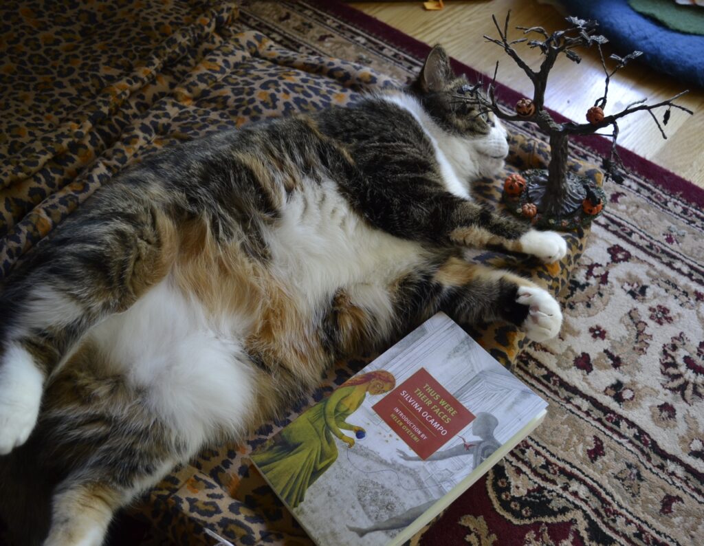 A calico tabby lies beside a copy of Thus Were Their Faces by Silvina Ocampo.
