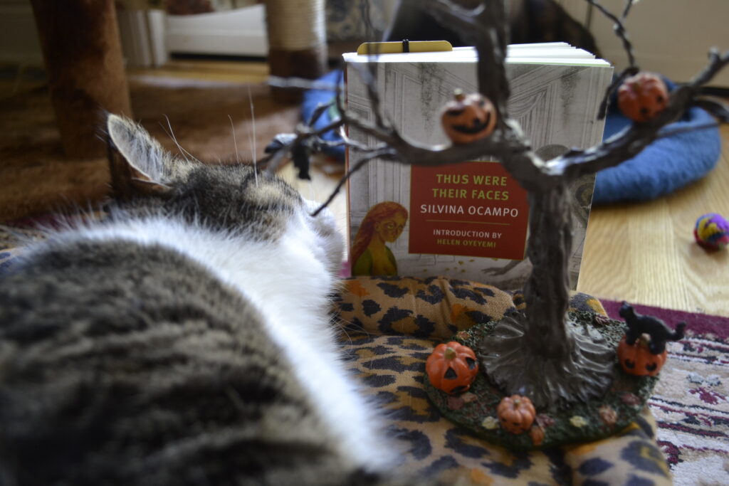 A calico tabby sniffs a miniature model of a tree decorated with jack-o-lanterns and crows.