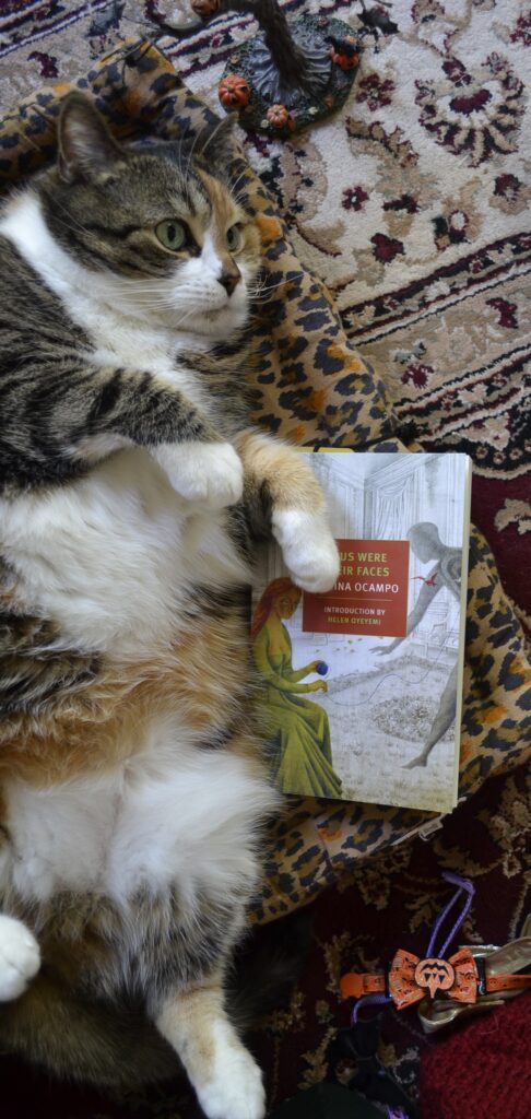 A calico tabby lies on her back beside a book by Silvina Ocampo.