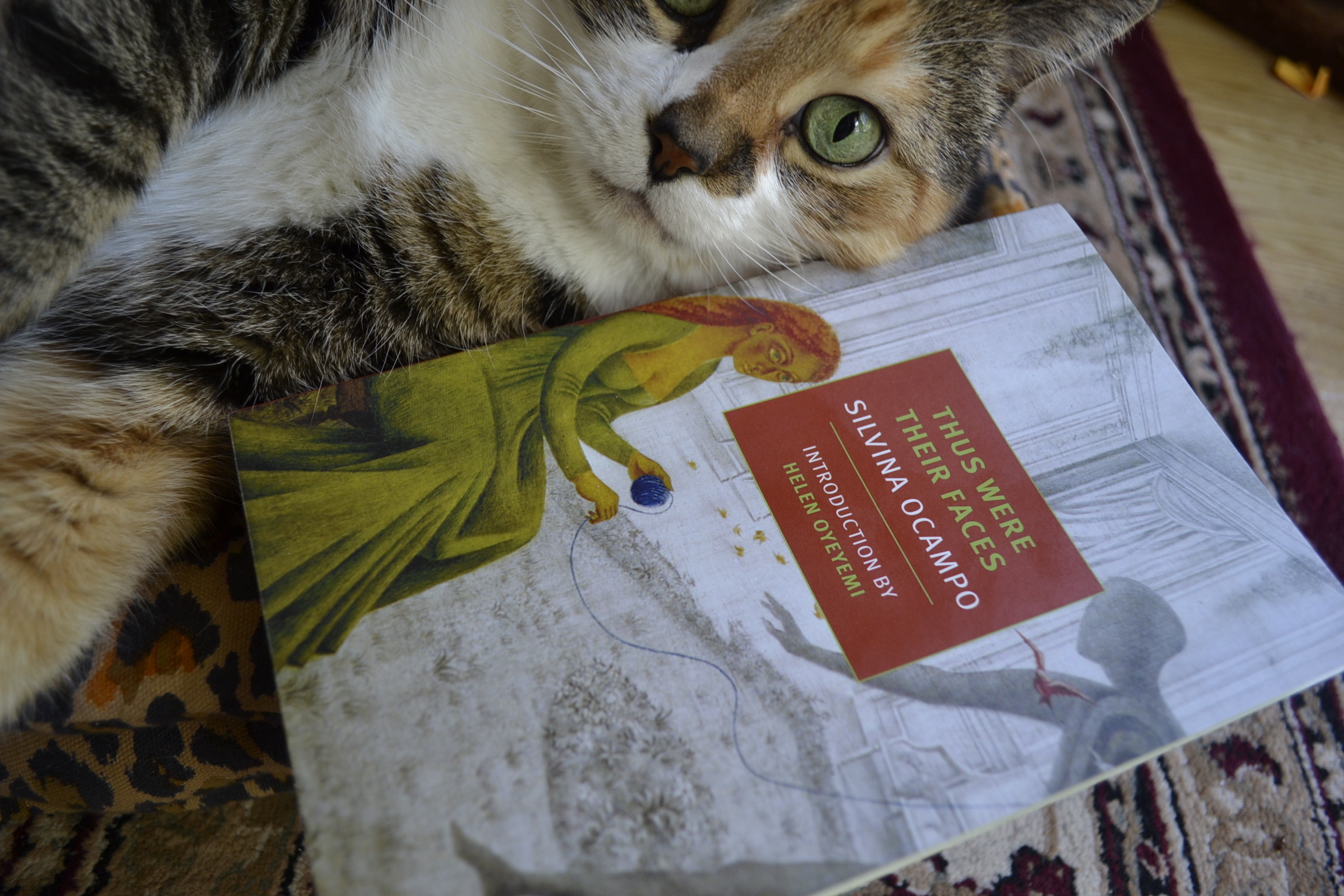 A cat with bright green eyes leans on a copy of Thus Were Their Faces.