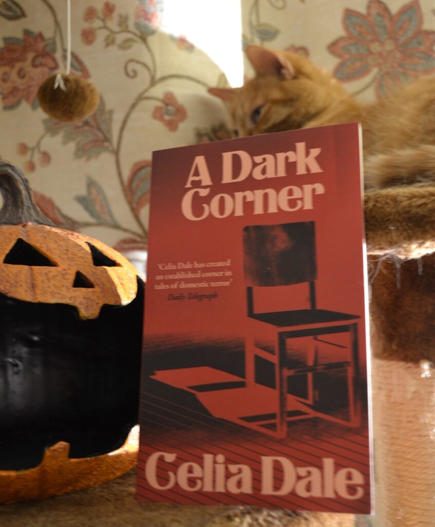 A red book with pink text has a picture of a chair on the cover. It is A Dark Corner by Celia Dale.