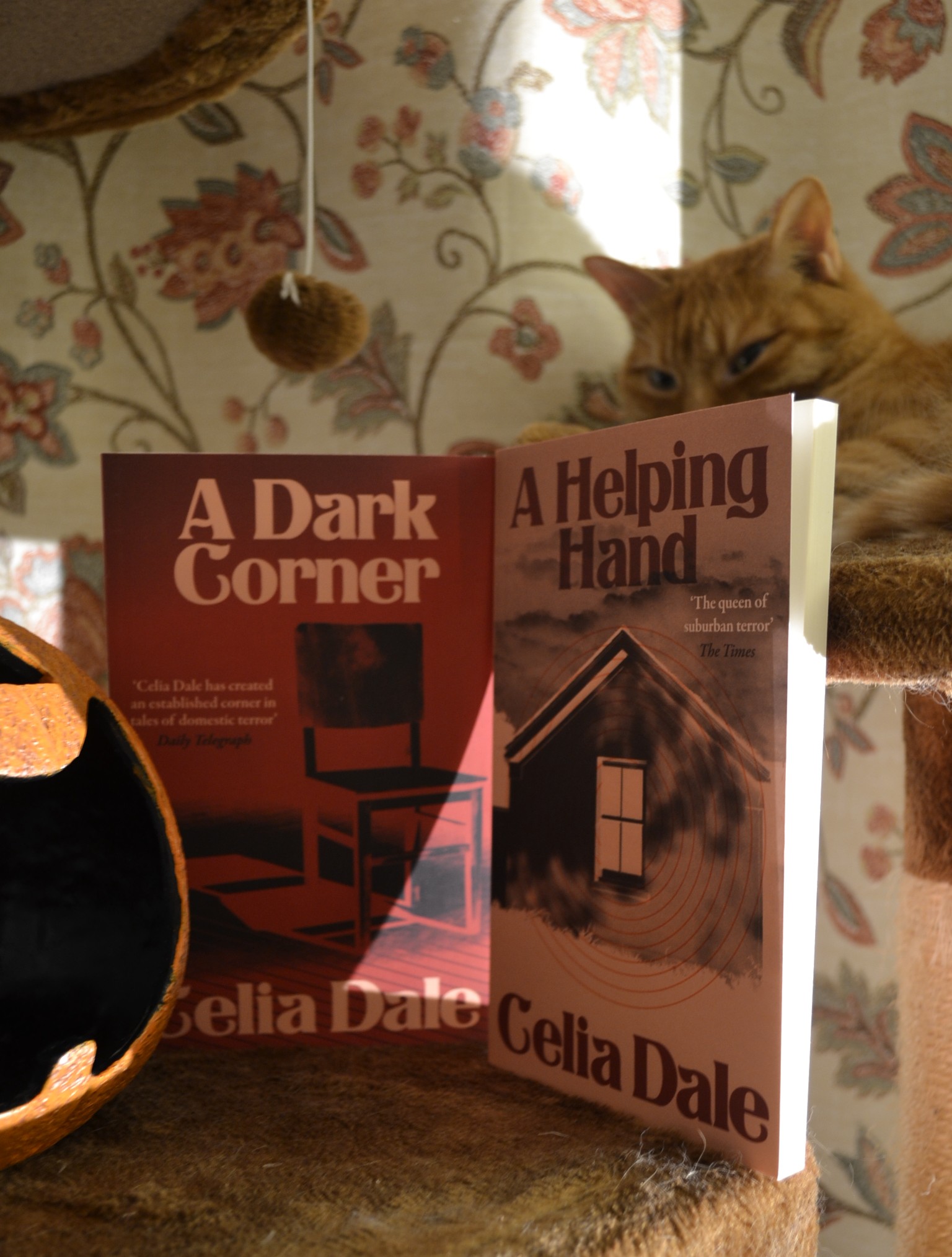 Two pink and dark red complementing books sit side-by-side. They are A Dark Corner and A Helping Hand both by Celia Dale.