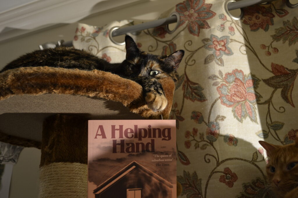 A tortie curled on the top bed of a cat tree, opens her eyes and reaches one orange paw towards a book called A Helping Hand.