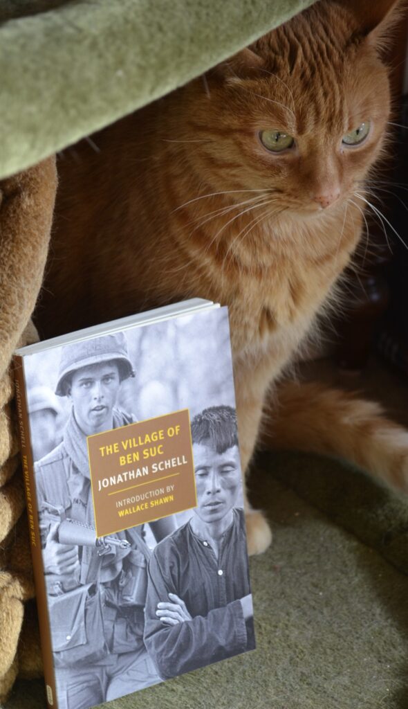An orange cat sits behind a copy of The Village of Ben Suc by Jonathan Schell.