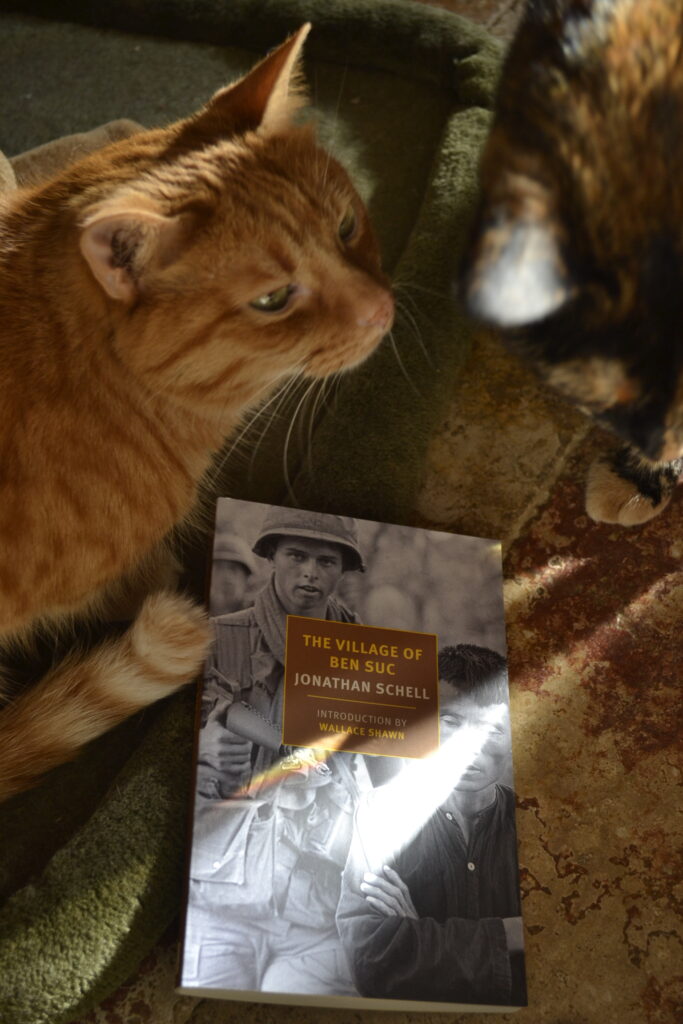 An orange cat and a tortie sit beside a copy of The Village of Ben Suc by Jonathan Schell.