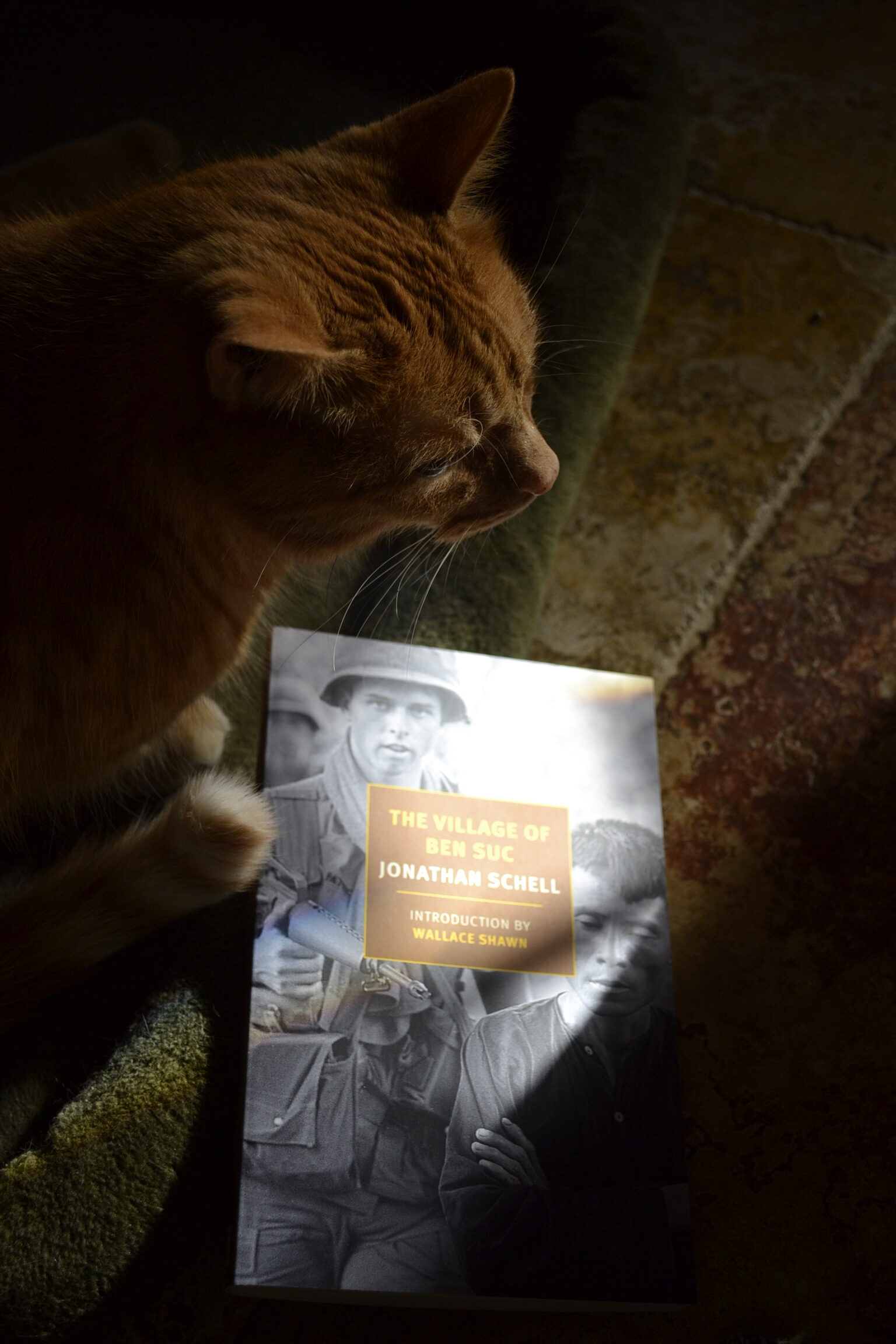 The Village of Ben Suc