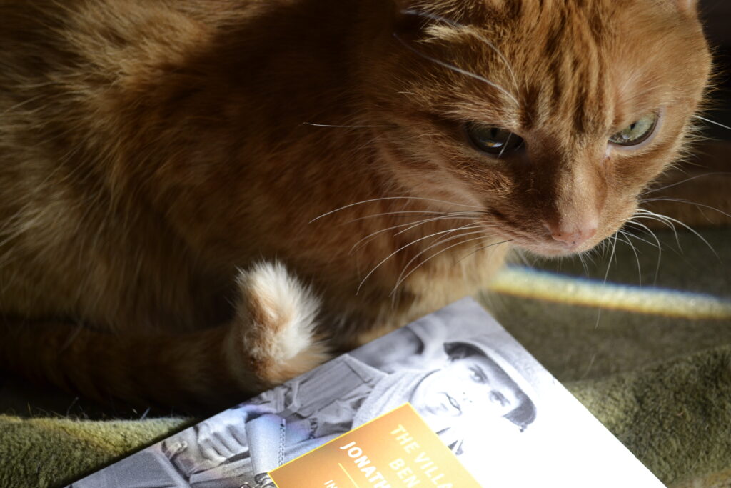 An orange tabby cat curls over its white-tipped tail in a sunbeam beside a book.