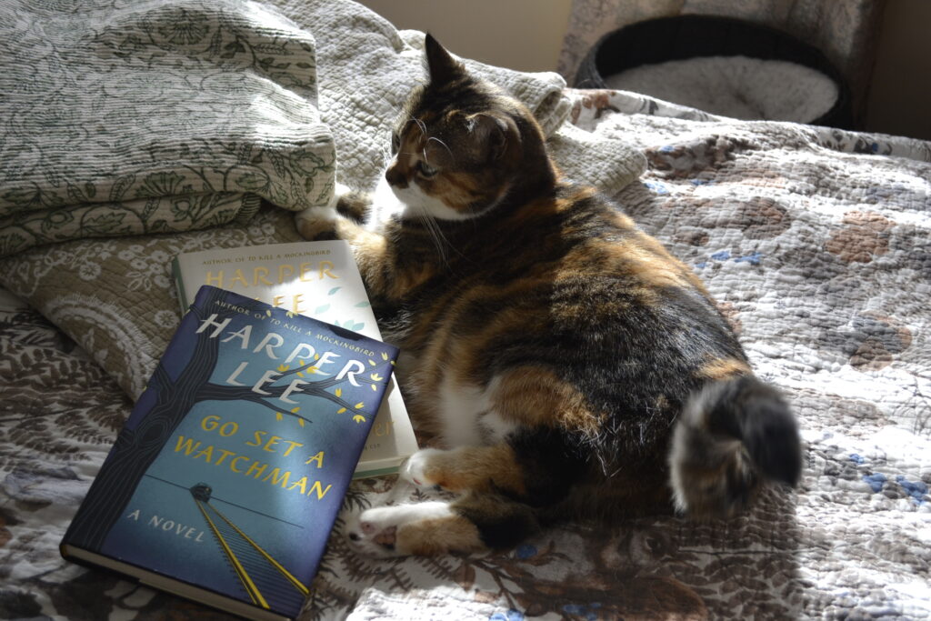 A calico tabby lies in the sunshine and flicks her tail. Beside her are two books by Harper Lee.