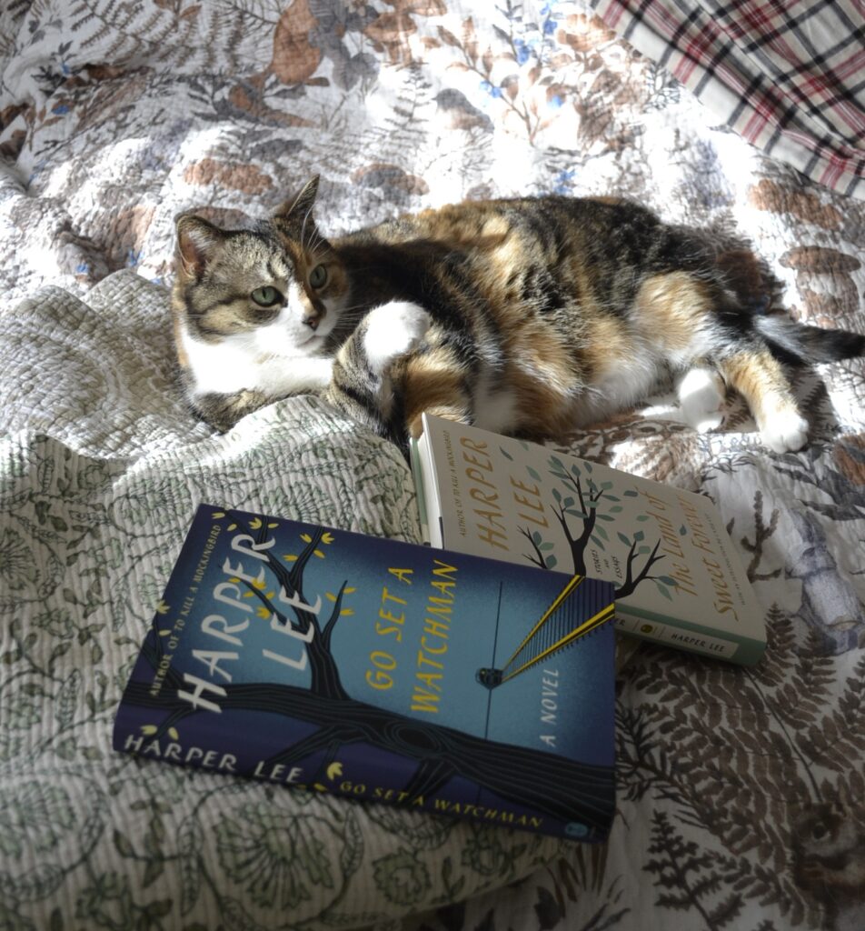 A calico tabby lounges on a sunny bed with two hardcover books by Harper Lee.