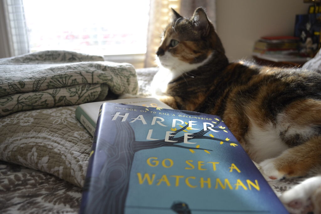 Beside a calico tabby lay two hardcover books by Harper Lee.