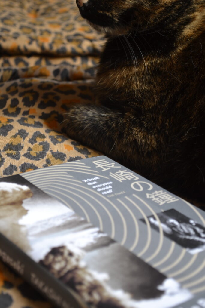 A close-up of the front paws of a tortoiseshell cat. Beside her, rings from the cover of a book seem to radiate towards her.