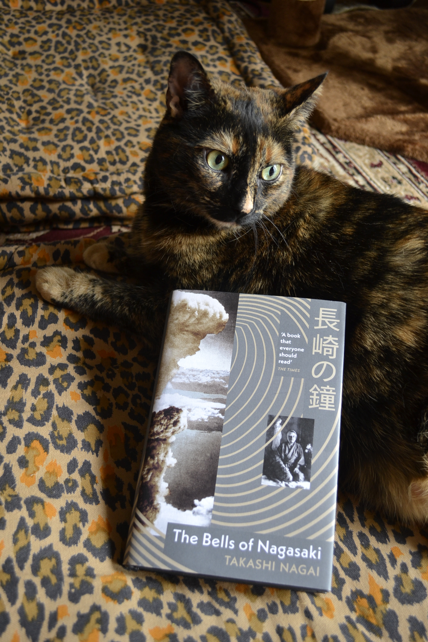 A tortoiseshell cat sits primly on a leopard-print cushion with a copy of The Bells of Nagasaki by Takashi Nagai resting on her side.