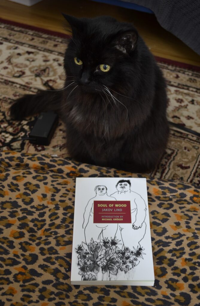 A fluffy black cat stands beside a leopard print cushion. On the cushion in front of her is a copy of Soul of Wood.