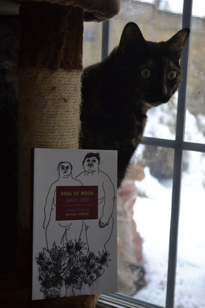 An alert tortoiseshell cat stands behind a copy of Soul of Wood by Jakov Lind and near a snowy window.