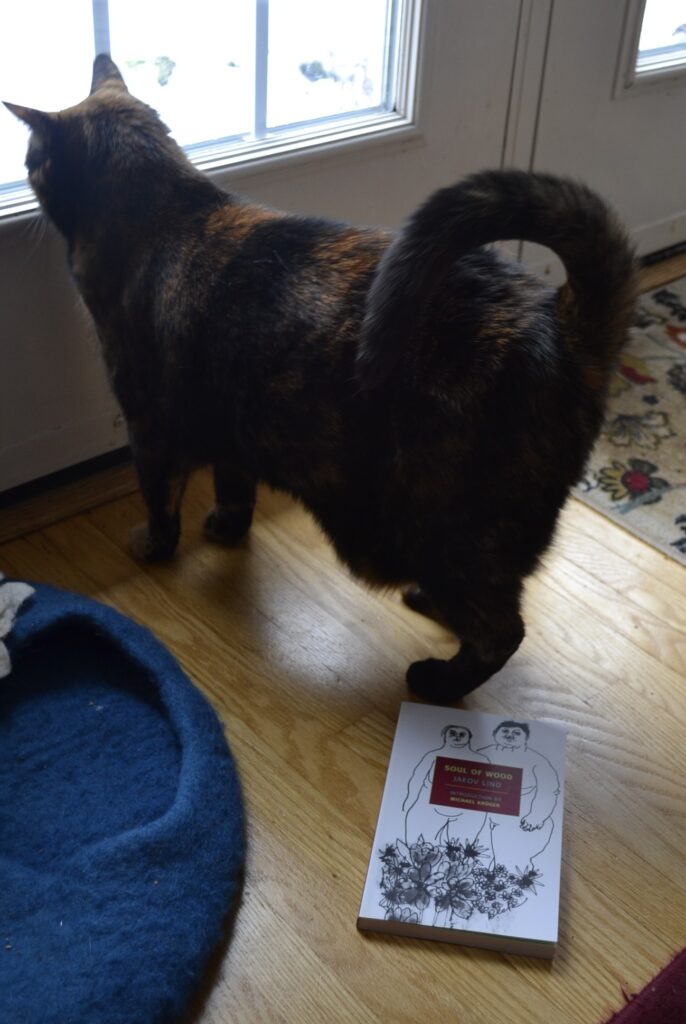A tortoiseshell cat stands by a window and a book. Her tail is up and curls over to touch her back.