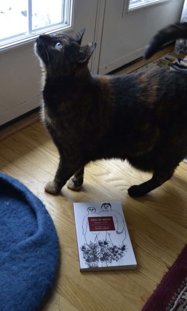 A tortoiseshell cat stands beside a paperback book. Her head is tilted up and her tail is curled upwards so that it touches her back.