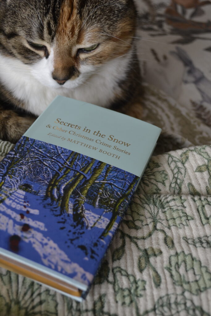 A calico tabby sits beside a small, blue hardcover book with a snowy lane on the cover.