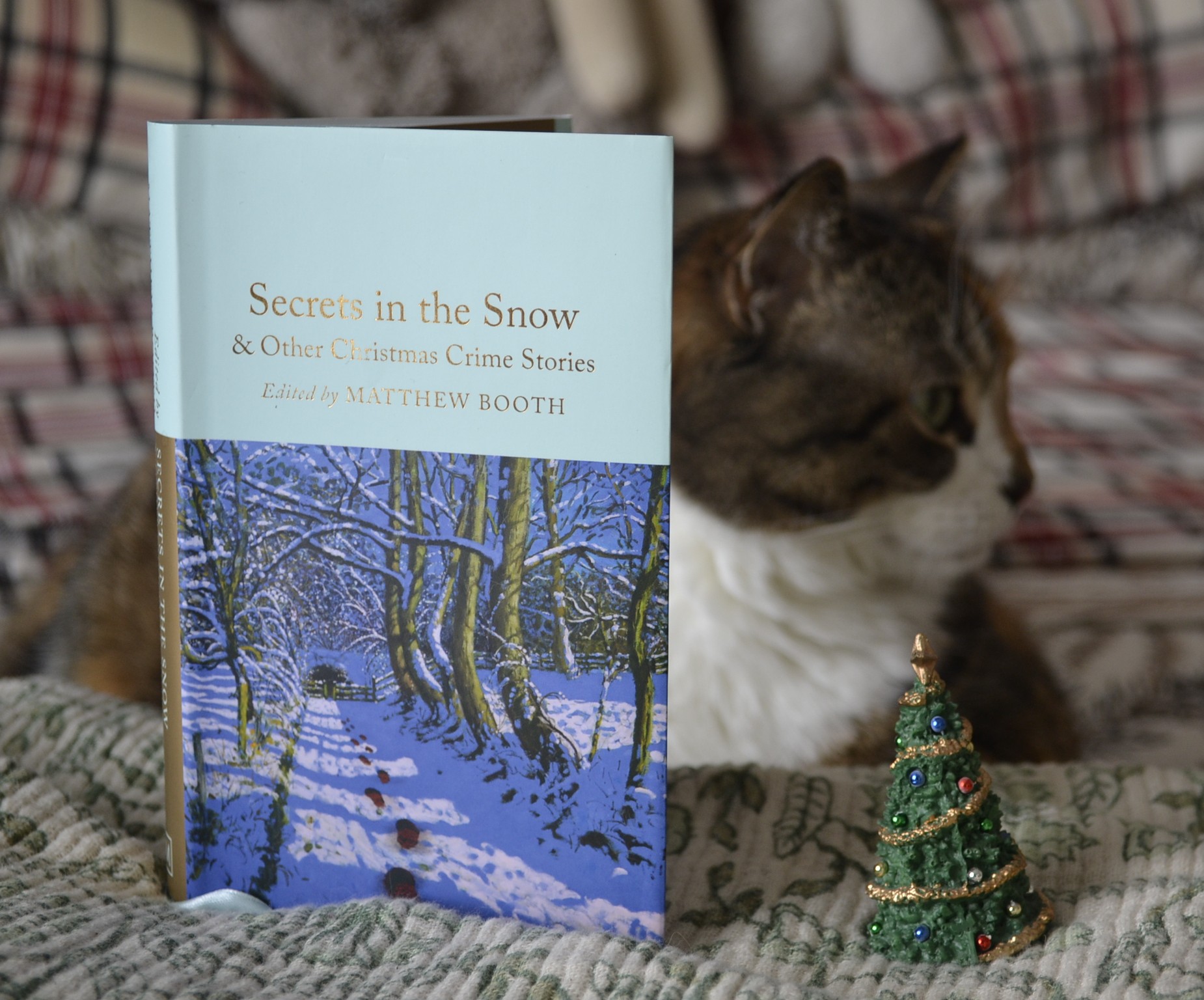 Secrets in the Snow & Other Christmas Crime Stories is a small, blue hardcover book with gilded edges. The cover features a snowy, tree-lined lane with dark footprints leading towards a gate.