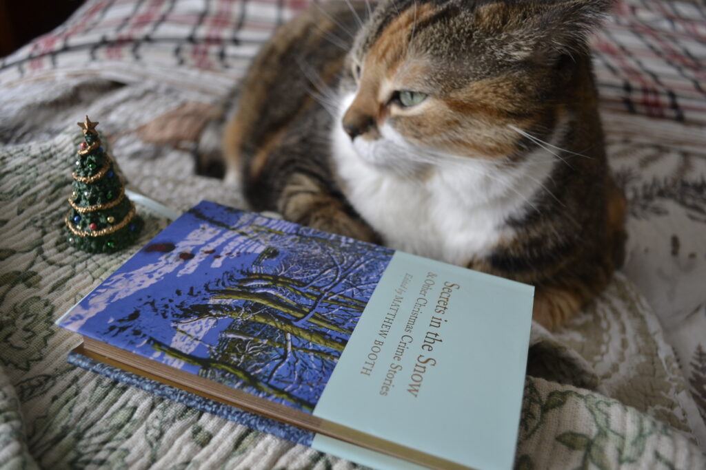 A calico cat sits with narrowed eyes beside Secrets in the Snow and a miniature Christmas tree.