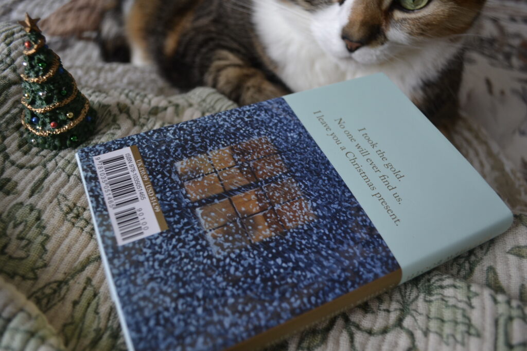 On the back of Secrets in the Snow is a lit window seen through a snowstorm and the quote, "I took the gold. No one will ever find us. I leave you a Christmas present."