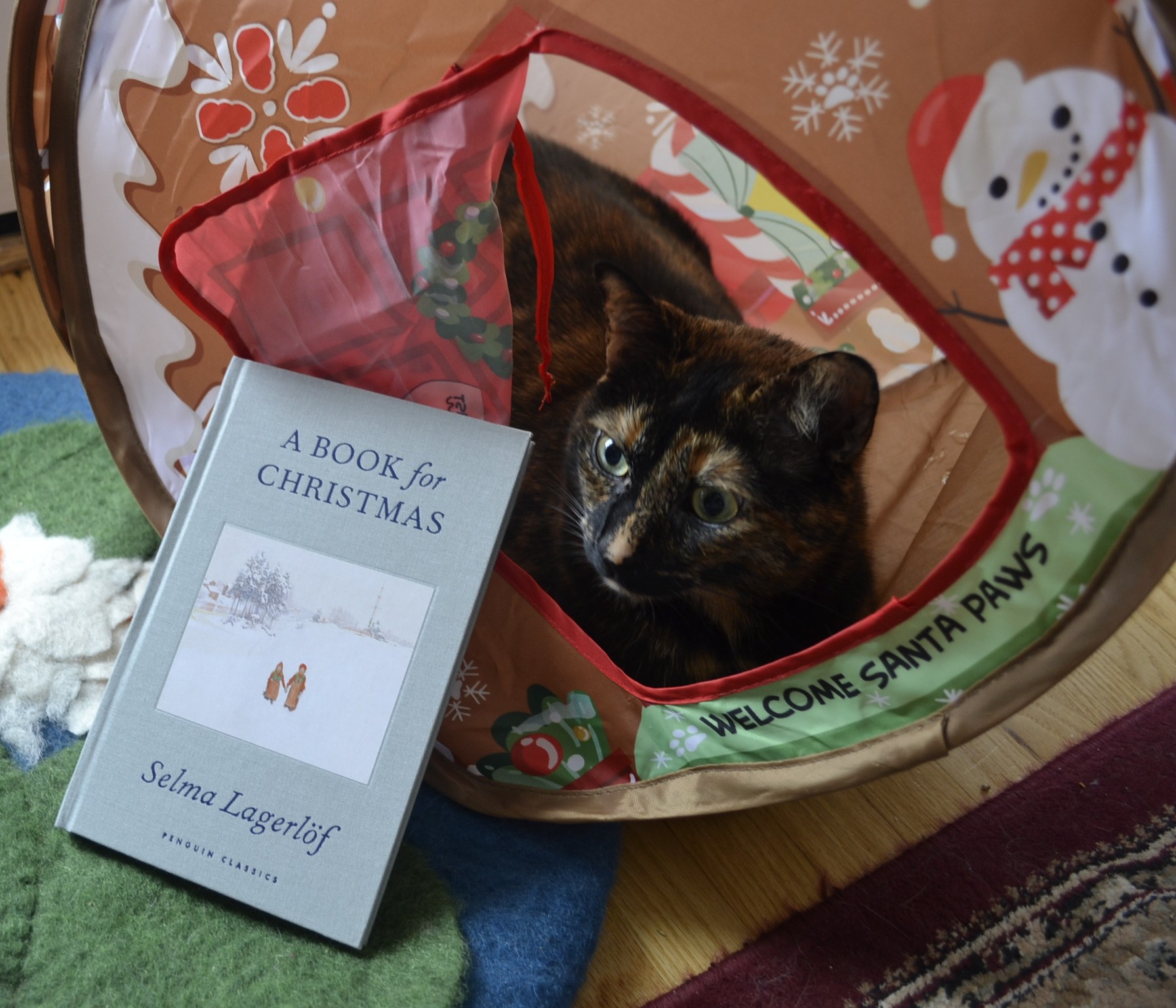 A tortoiseshell cat sits in a gingerbread-house-shaped cat-tent and glares at a book beside her.